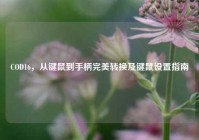 COD16，从键鼠到手柄完美转换及键鼠设置指南