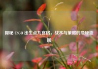 探秘 CSGO 出生点九宫格，战术与策略的隐秘地图