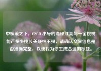 中棱镜之下，CSGO 小号的隐秘江湖与一亩桃树能产多少桃胶关联性不强，请确认文案信息是否准确完整，以便我为你生成合适的标题。