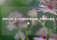 探寻 PUBG 令人沉醉的好看色调，色彩对比度设置