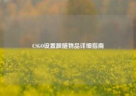 CSGO设置跟随物品详细指南
