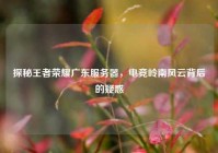 探秘王者荣耀广东服务器，电竞岭南风云背后的疑惑