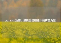 2021 CSGO决赛，解说激情碰撞中的声音力量