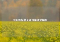 PUBG等级单子承接渠道全解析