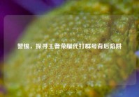 警惕，探寻王者荣耀代打群号背后陷阱
