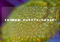 王者荣耀扁鹊，团队生命之光，该走哪条路？
