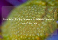Steam Valve: The Key Component in Industrial Systems by Steam Valve Corp