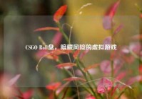 CSGO Roll盘，暗藏风险的虚拟游戏