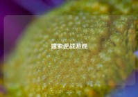 搜索逆战游戏