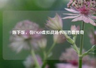 陈下饭，在CSGO虚拟战场书写热血传奇