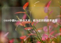 CSGO小镇Dust2穿点大全，枪火交织的战术迷宫