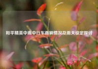 和平精英中雨中行车雨刷情况及雨天设定探讨