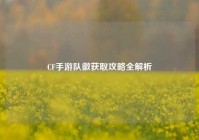CF手游队徽获取攻略全解析