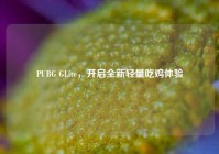 PUBG GLite，开启全新轻量吃鸡体验