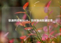 联通网络畅玩LOL，如何查询联通话费