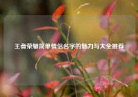 王者荣耀简单情侣名字的魅力与大全推荐