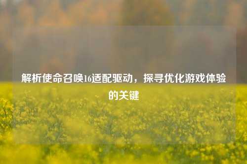 解析使命召唤16适配驱动，探寻优化游戏体验的关键