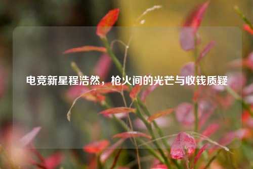 电竞新星程浩然，枪火间的光芒与收钱质疑