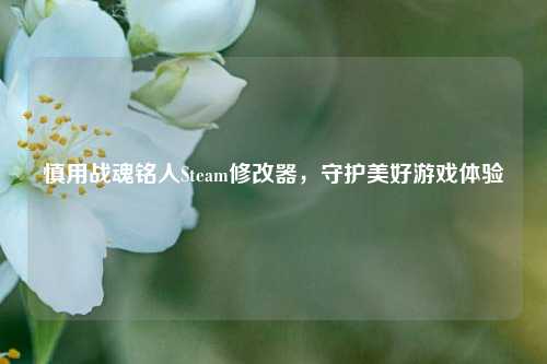 慎用战魂铭人Steam修改器，守护美好游戏体验