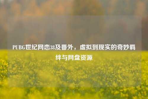 PUBG世纪网恋38及番外，虚拟到现实的奇妙羁绊与网盘资源