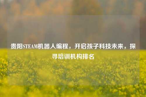 贵阳STEAM机器人编程，开启孩子科技未来，探寻培训机构排名
