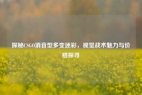 探秘CSGO消音型多变迷彩，视觉战术魅力与价格探寻