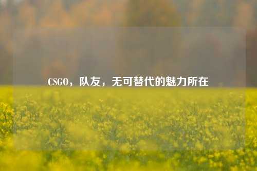 CSGO，队友，无可替代的魅力所在