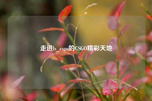 走进ls_csgo的CSGO精彩天地