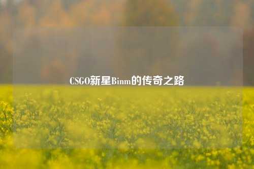 CSGO新星Binm的传奇之路