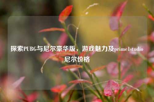 探索PUBG与尼尔豪华版，游戏魅力及prime1studio尼尔价格