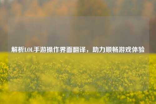 解析LOL手游操作界面翻译，助力顺畅游戏体验