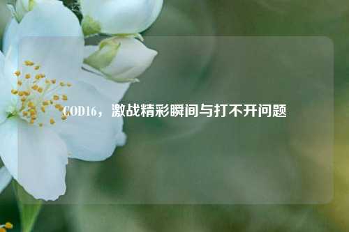 COD16,激战精彩瞬间与打不开问题