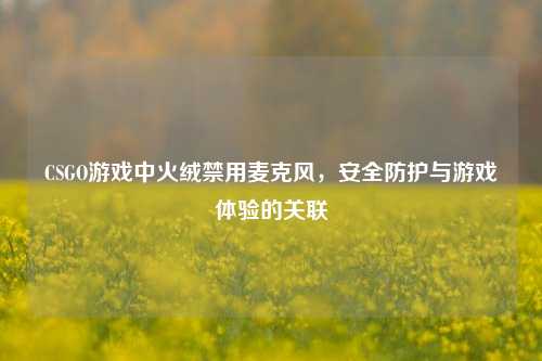 CSGO游戏中火绒禁用麦克风，安全防护与游戏体验的关联