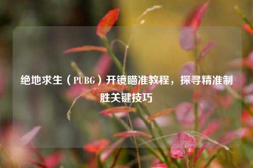 绝地求生(PUBG)开镜瞄准教程,探寻精准制胜关键技巧