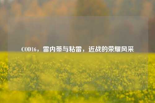 COD16,雷内蒂与粘雷,近战的荣耀风采