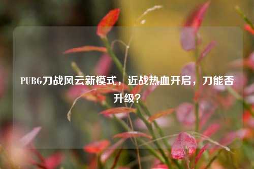 PUBG刀战风云新模式,近战热血开启,刀能否升级?