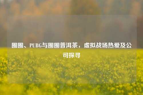 圈圈、PUBG与圈圈普洱茶,虚拟战场热爱及公司探寻