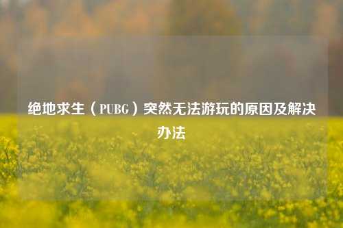 绝地求生(PUBG)突然无法游玩的原因及解决办法