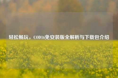 轻松畅玩,COD16免安装版全解析与下载包介绍