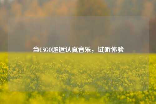 当CSGO邂逅认真音乐，试听体验