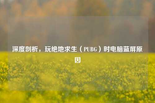 深度剖析,玩绝地求生(PUBG)时电脑蓝屏原因