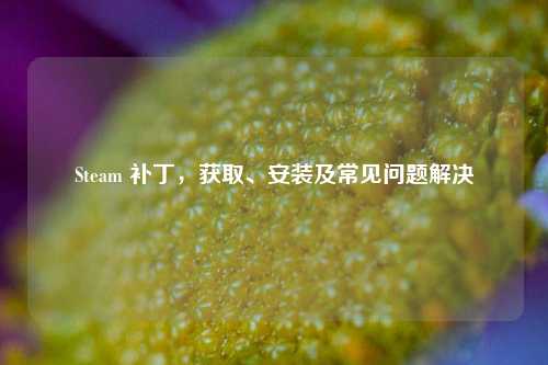 Steam 补丁,获取、安装及常见问题解决