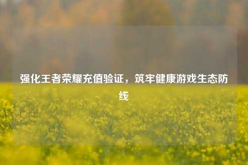 强化王者荣耀充值验证,筑牢健康游戏生态防线