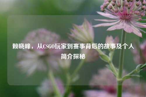 赖晓峰，从CSGO玩家到赛事背后的故事及个人简介探秘