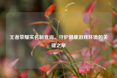 王者荣耀实名制查询,守护健康游戏环境的关键之举