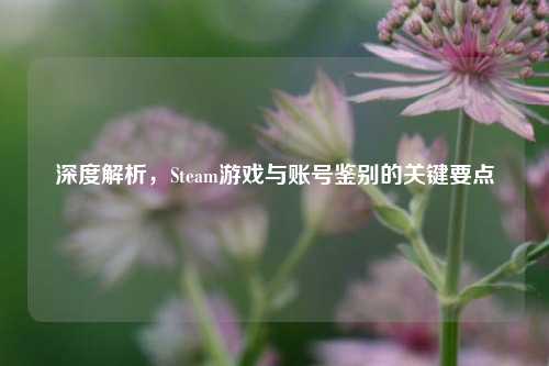 深度解析,Steam游戏与账号鉴别的关键要点