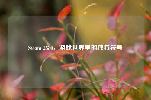 Steam 2580,游戏世界里的独特符号
