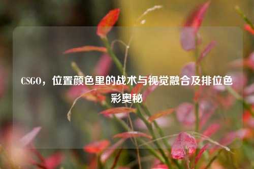 CSGO,位置颜色里的战术与视觉融合及排位色彩奥秘