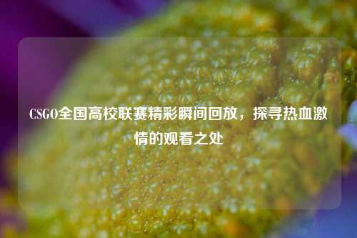 CSGO全国高校联赛精彩瞬间回放,探寻热血激情的观看之处