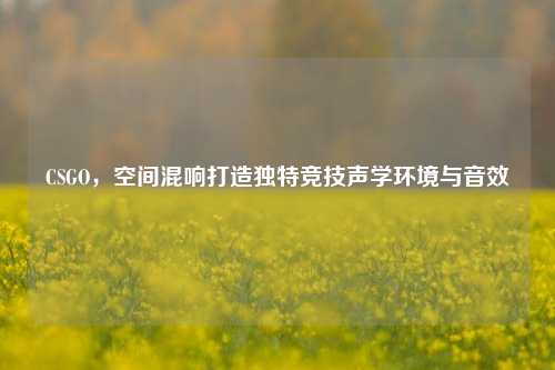 CSGO,空间混响打造独特竞技声学环境与音效
